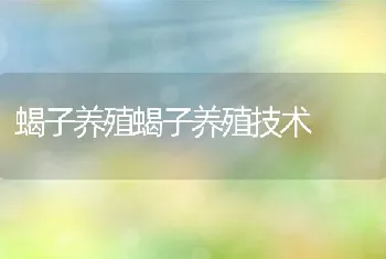 蝎子养殖蝎子养殖技术