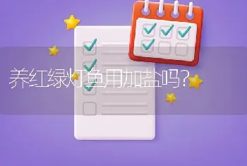 养红绿灯鱼用加盐吗？