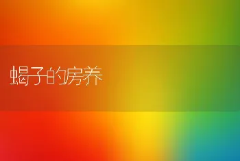 蝎子的房养