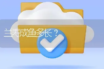 兰寿成鱼多长？