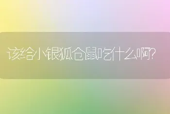 我家小猫4个月了，最近就是老打喷嚏，我想问问大家吃点什么药好啊？