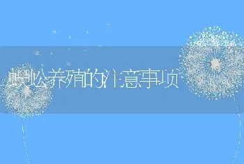 蜈蚣养殖的注意事项