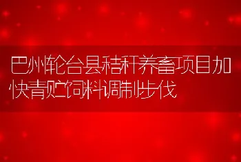 巴州轮台县秸秆养畜项目加快青贮饲料调制步伐