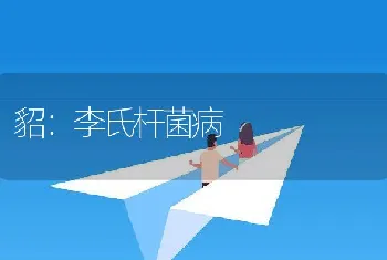 貂：李氏杆菌病