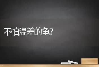 不怕温差的龟？