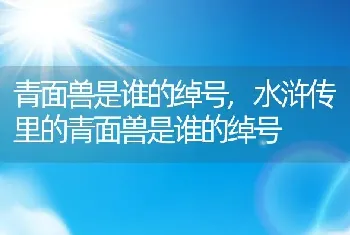 青面兽是谁的绰号，水浒传里的青面兽是谁的绰号