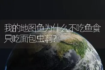 我的地图鱼为什么不吃鱼食只吃面包虫啊？