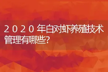 2020年白对虾养殖技术管理有哪些？