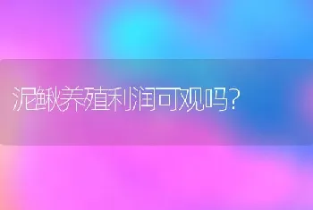 泥鳅养殖利润可观吗？