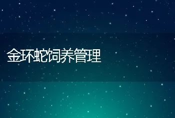 金环蛇饲养管理