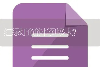 红绿灯鱼能长到多大？