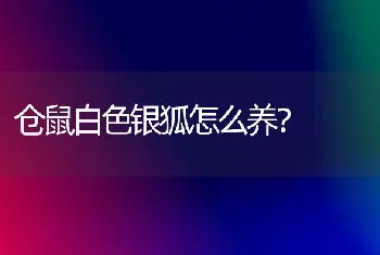 帮帮忙，请问两只猫咪的磨合期是多久？