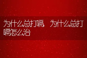 为什么总打嗝，为什么总打嗝怎么治