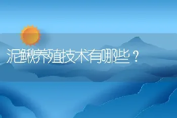 泥鳅养殖技术有哪些？