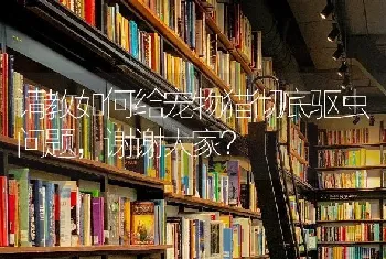 请教如何给宠物猫彻底驱虫问题，谢谢大家？