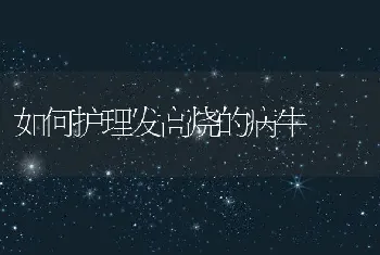 海南省罗非鱼健康养殖技术培训班传授养殖罗非鱼