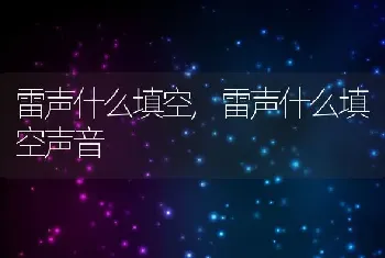 雷声什么填空，雷声什么填空声音