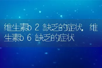 维生素b2缺乏的症状，维生素b6缺乏的症状