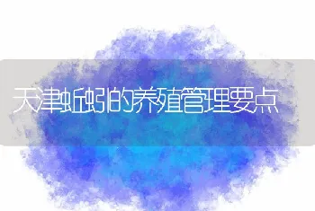 天津蚯蚓的养殖管理要点