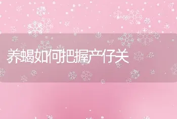 养蝎如何把握产仔关