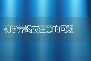 初学养蝎应注意的问题