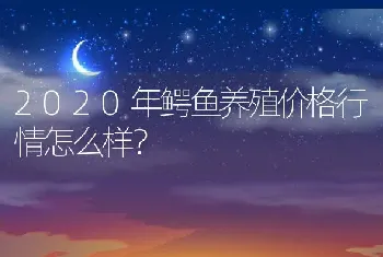 2020年鳄鱼养殖价格行情怎么样？