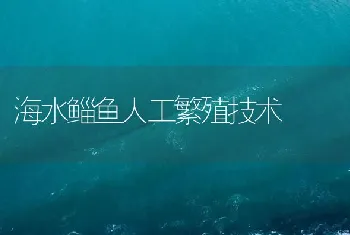 海水鲻鱼人工繁殖技术