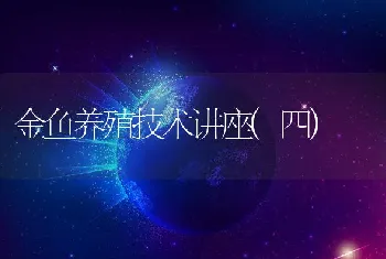 金鱼养殖技术讲座(四)