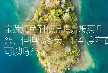 宝莲灯鱼耐低温吗。想买几条，但担心冬天，14度左右可以吗？