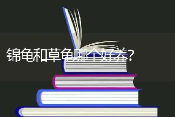 锦龟和草龟哪个好养？