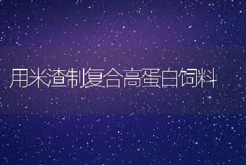 用米渣制复合高蛋白饲料