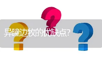 异瞳边牧的优缺点？