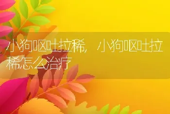 小狗呕吐拉稀，小狗呕吐拉稀怎么治疗