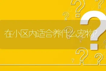 在小区内适合养什么宠物？