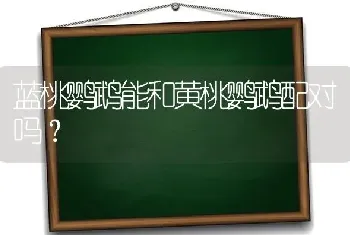 蓝桃鹦鹉能和黄桃鹦鹉配对吗？