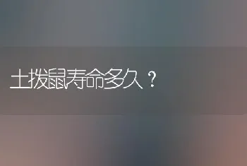 土拨鼠寿命多久？