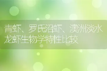 青虾、罗氏沼虾、澳洲淡水龙虾生物学特性比较