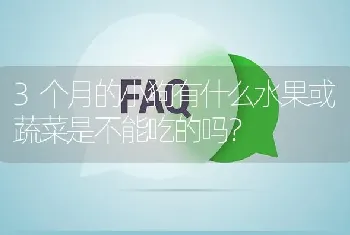 3个月的小狗有什么水果或蔬菜是不能吃的吗？