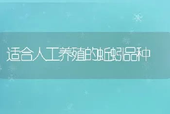 适合人工养殖的蚯蚓品种