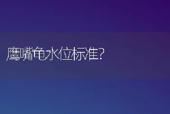 鹰嘴龟水位标准？