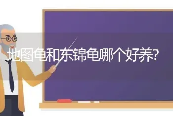 什么狗不掉毛，不吵，不凶？