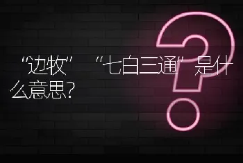 “边牧”“七白三通”是什么意思？