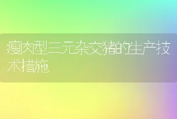 瘦肉型三元杂交猪的生产技术措施