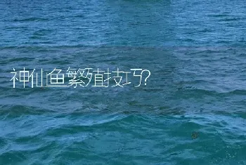 神仙鱼繁殖技巧？