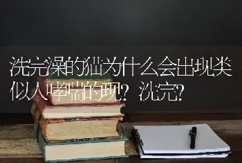 洗完澡的猫为什么会出现类似人哮喘的现?洗完？