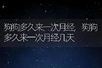 狗狗多久来一次月经，狗狗多久来一次月经几天