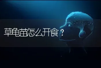 刚出生的柯基会叫吗？