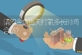 请问金鱼每天打氧多长时间合适？