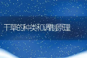 利用非粮饲料来喂养肥猪