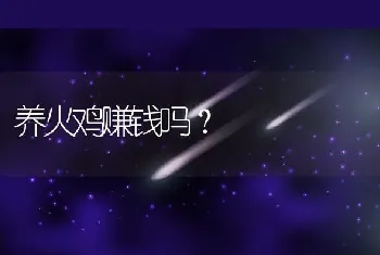 养火鸡赚钱吗？